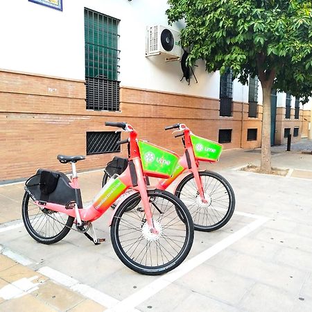 Loft B2, Apartment In Sevilla Dış mekan fotoğraf